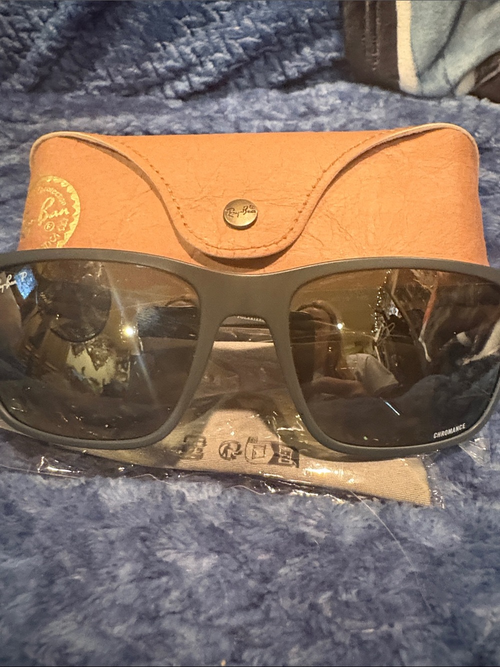Ray-Ban Men's Olive Green Frame Sunglasses with Brown Case